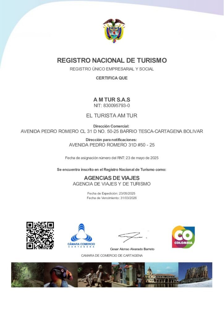 registro nacional de turismo 249804 el turista am tur page 0001